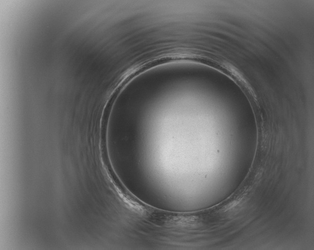 X0000061120845200511241708