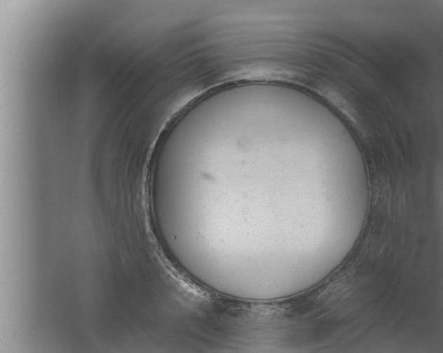 X0000061120848200511241708