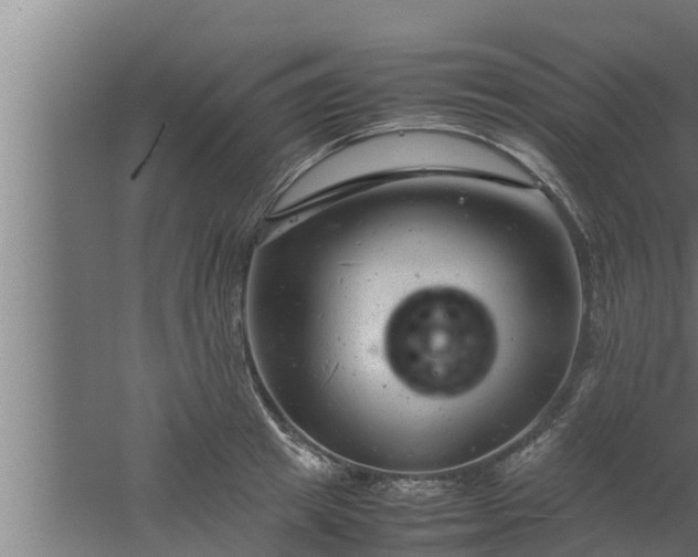 X0000061120849200511241708