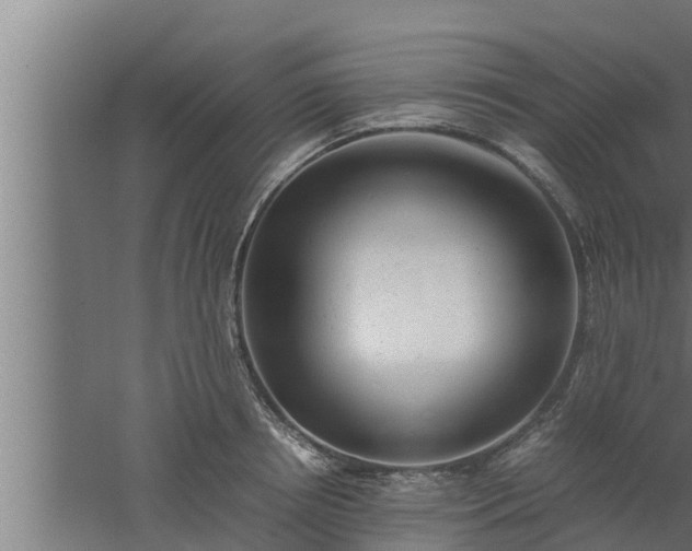 X0000061120850200511241708