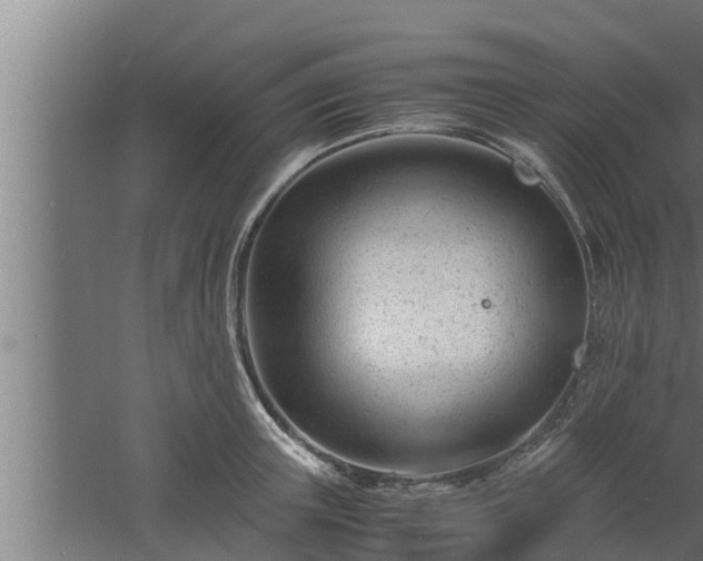 X0000061120851200511241708