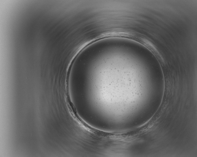 X0000061120852200511241708