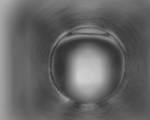 X0000061120853200511241708