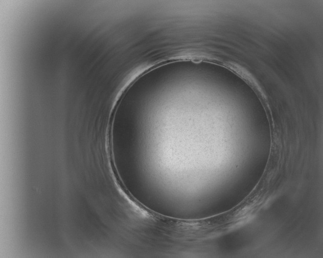 X0000061120855200511241708