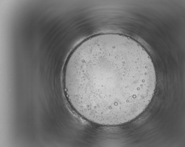 X0000061120856200511241708