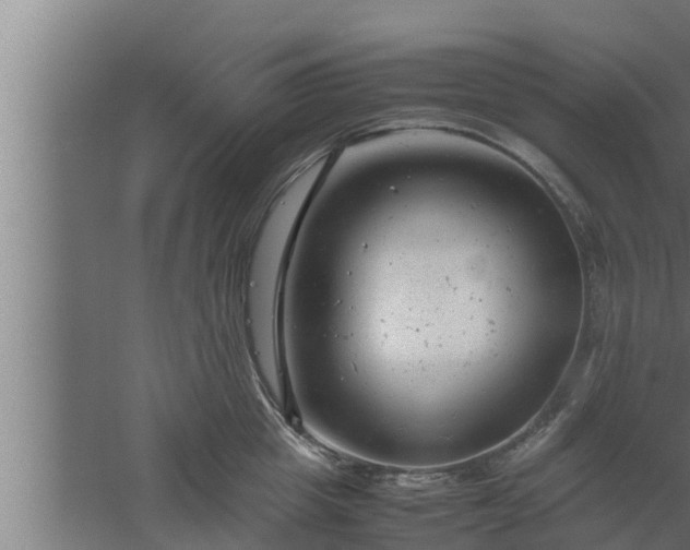 X0000061120857200511241708