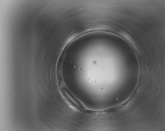 X0000061120858200511241708