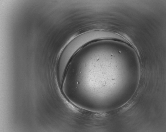 X0000061120859200511241708