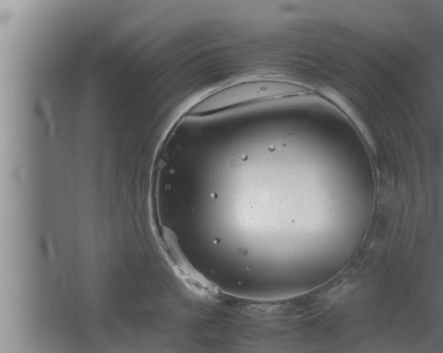 X0000061120861200511241708