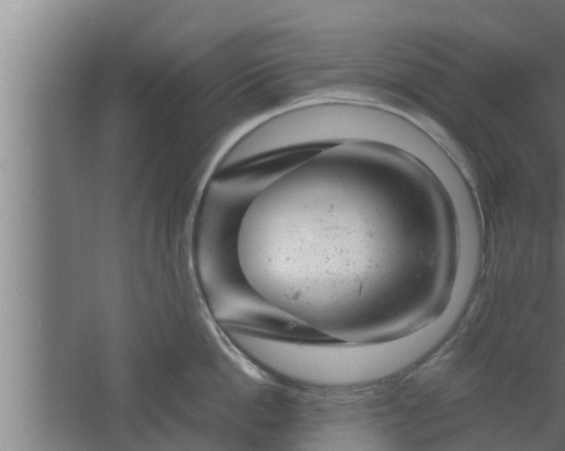 X0000061120862200511241708