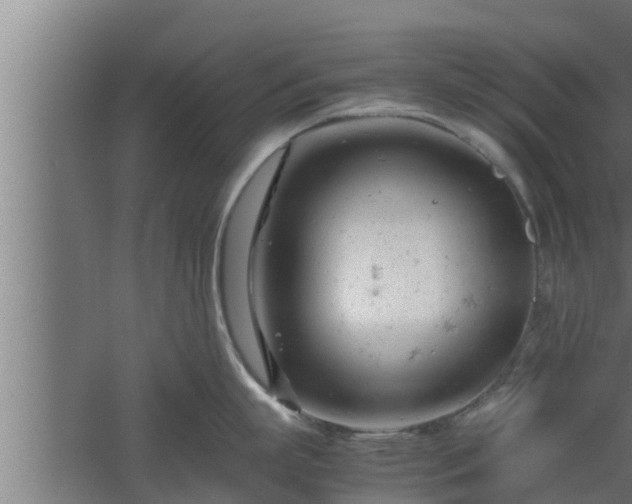 X0000061120863200511241708