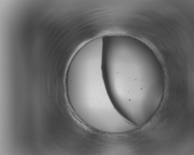 X0000061120864200511241708