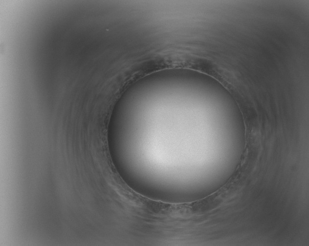 X0000061120865200511241707