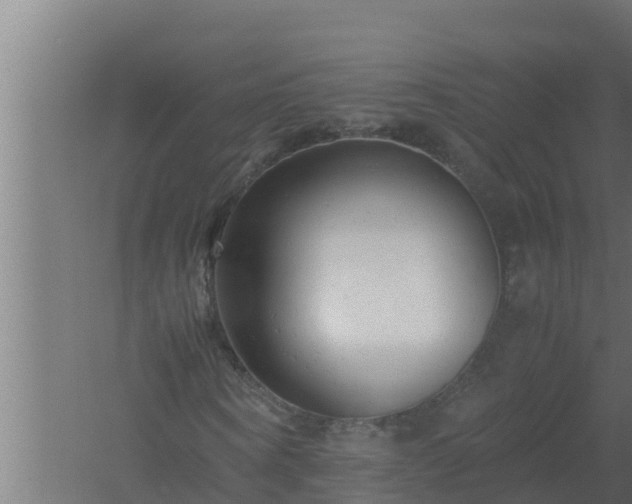 X0000061120866200511241707