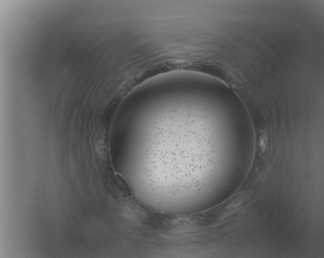 X0000061120867200511241707