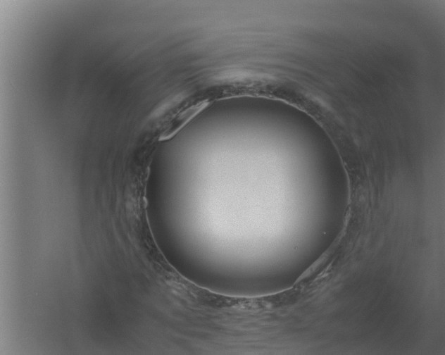 X0000061120869200511241707