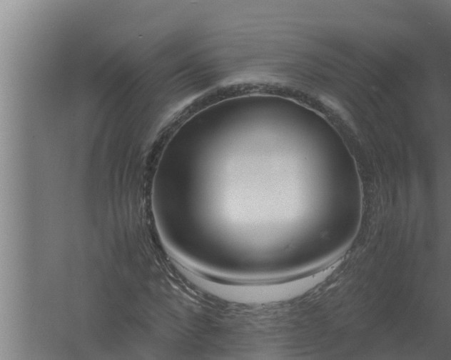 X0000061120872200511241707