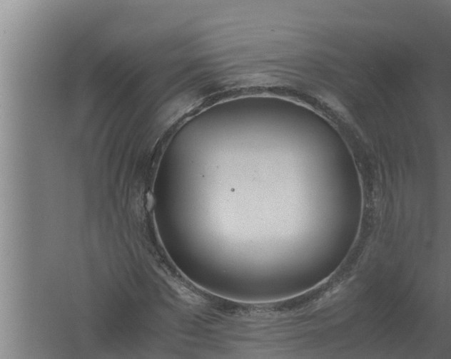 X0000061120873200511241707