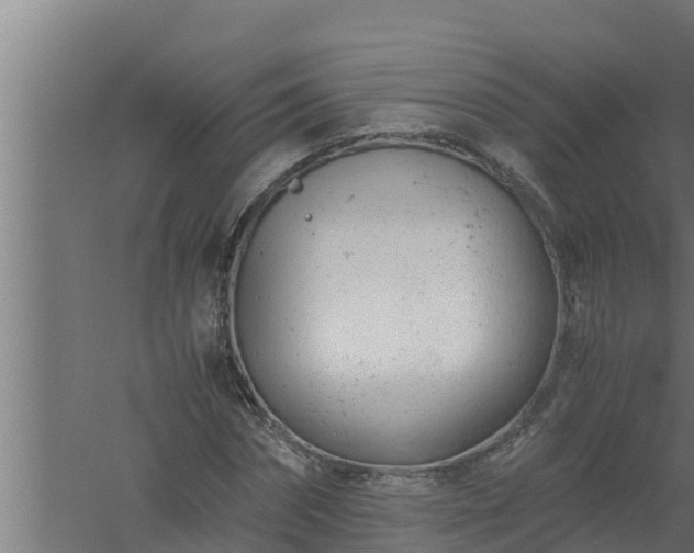 X0000061120874200511241707