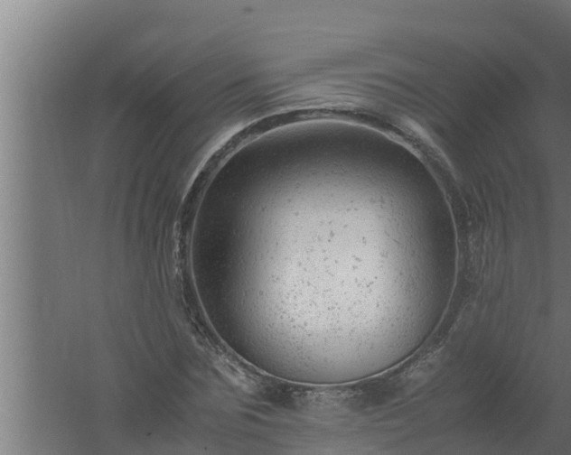 X0000061120875200511241707