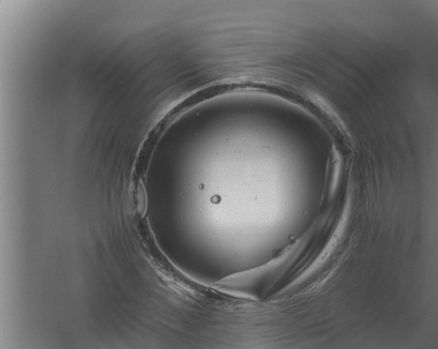 X0000061120876200511241707