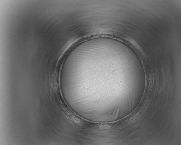 X0000061120878200511241707