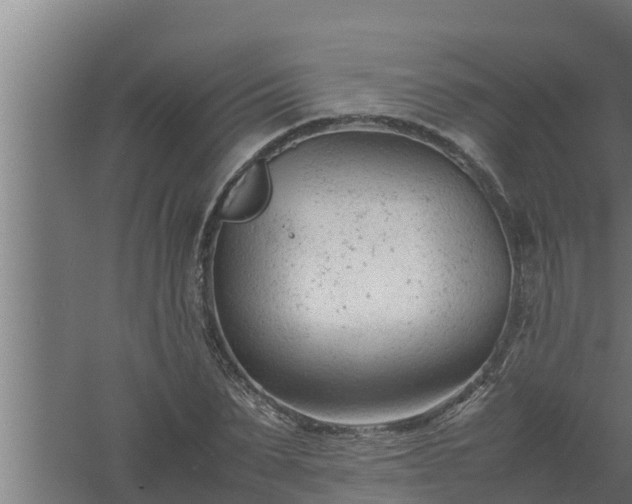 X0000061120879200511241707