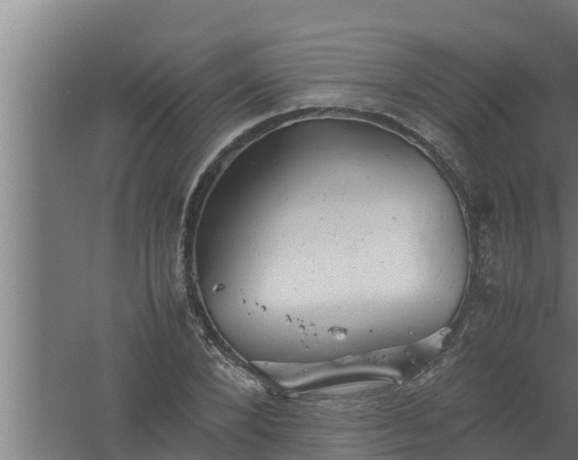 X0000061120880200511241707