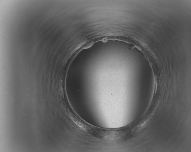 X0000061120881200511241707