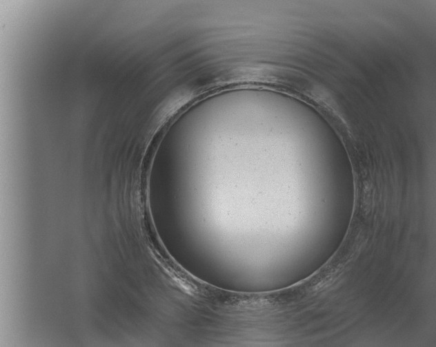 X0000061120882200511241707