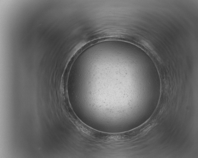 X0000061120883200511241707