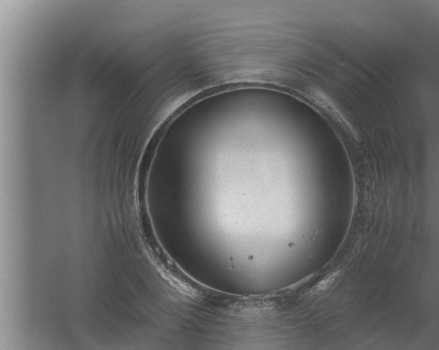 X0000061120884200511241707