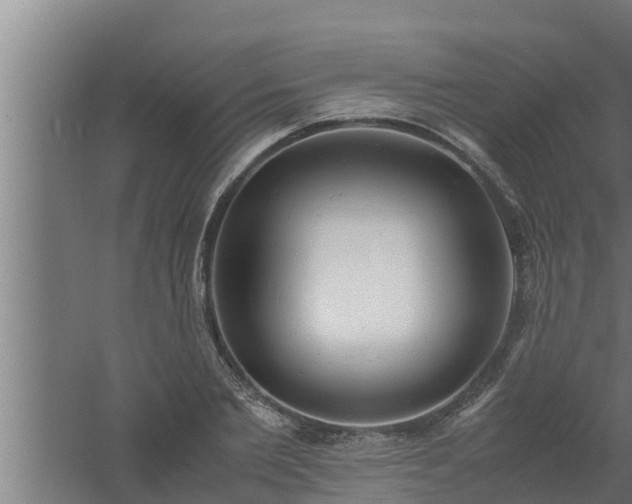 X0000061120885200511241707