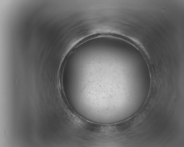 X0000061120887200511241707