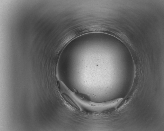 X0000061120889200511241707