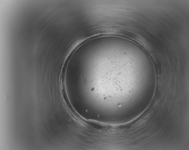 X0000061120891200511241707