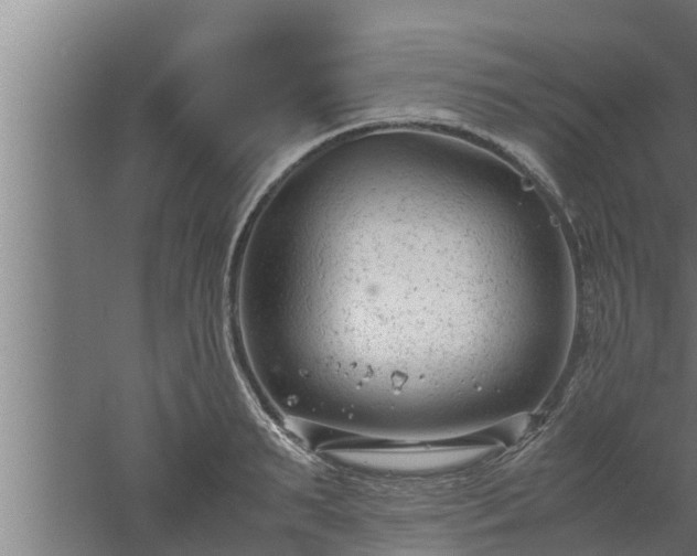 X0000061120895200511241707