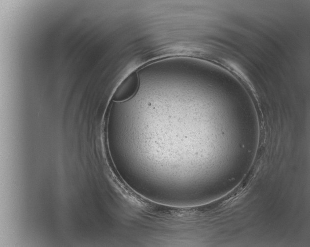 X0000061120899200511241707