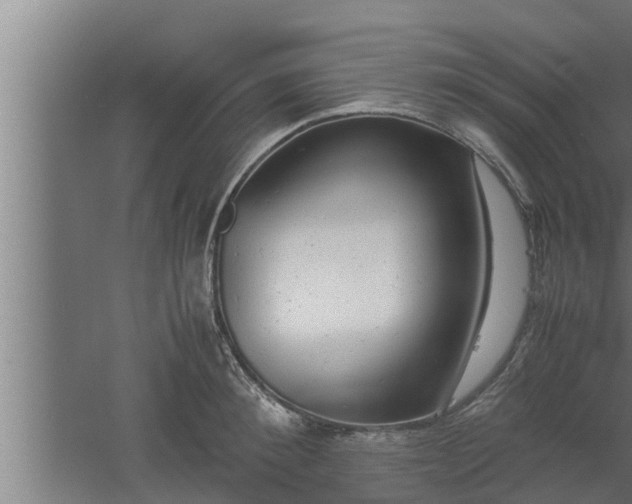 X0000061120900200511241707