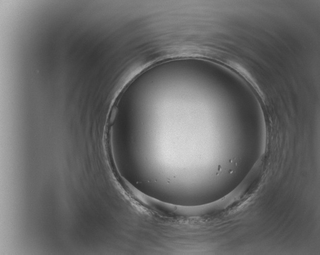 X0000061120901200511241707