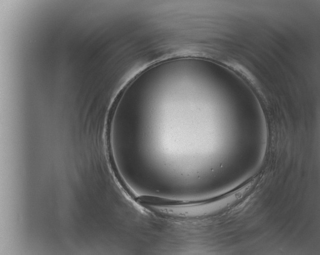 X0000061120902200511241707