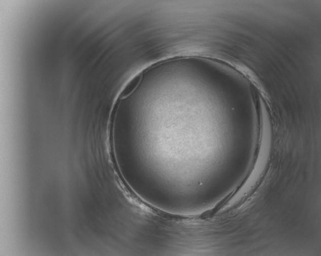 X0000061120904200511241706