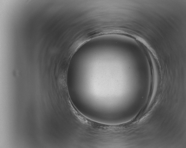 X0000061120905200511241706