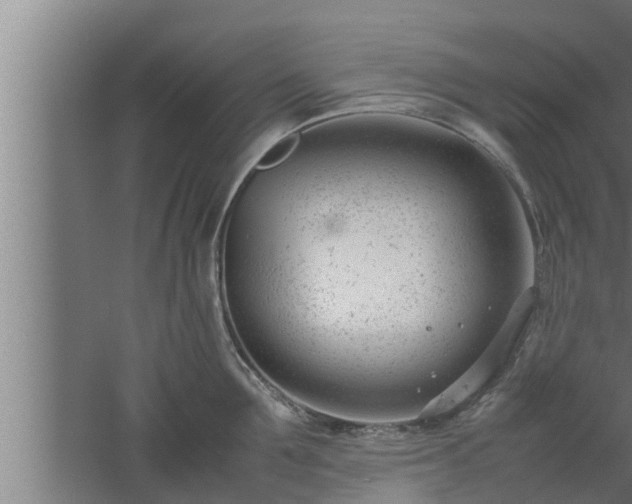 X0000061120907200511241706