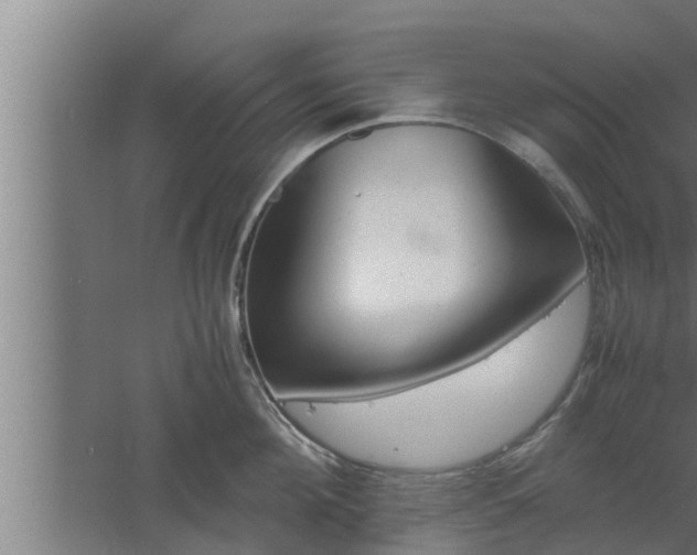 X0000061120908200511241706