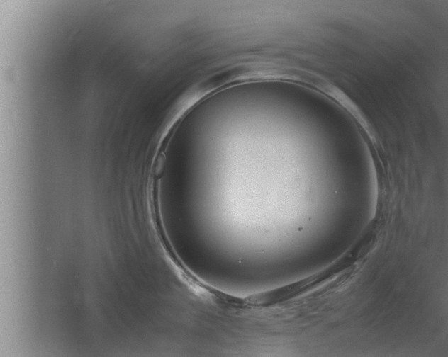 X0000061120909200511241706