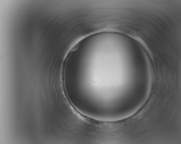 X0000061120910200511241706