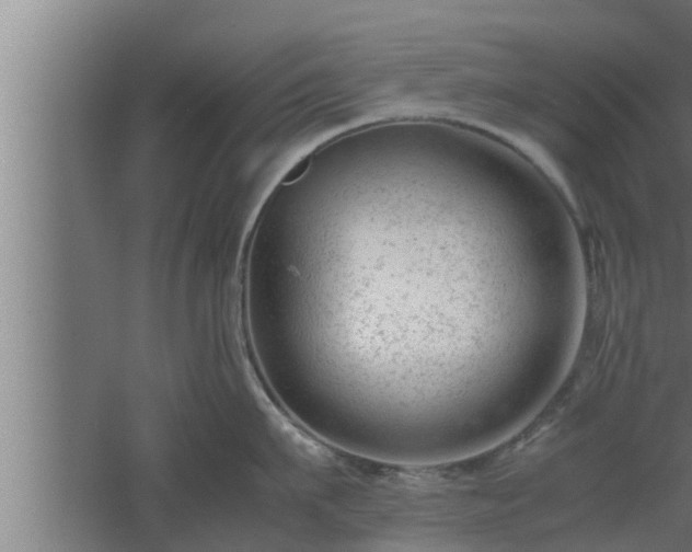 X0000061120911200511241706