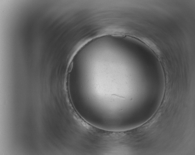 X0000061120912200511241706