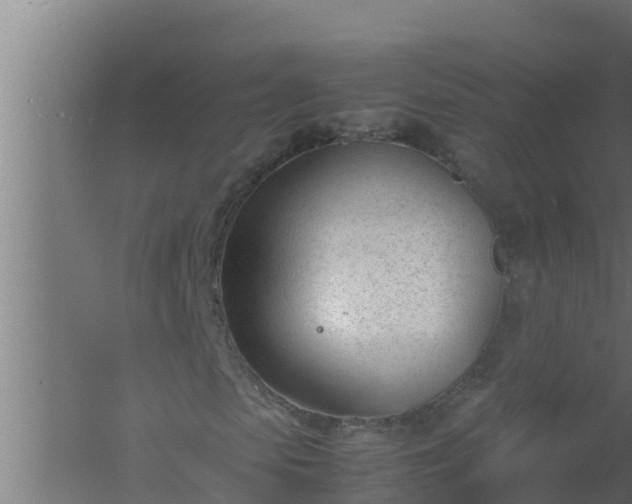 X0000061120913200511241705